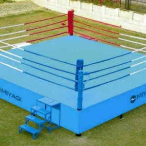 Ring De Boxeo 24 Pies